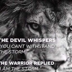 Meet your Posher, William